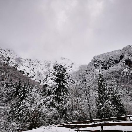 U Konc Villa Stahovica Kamer foto