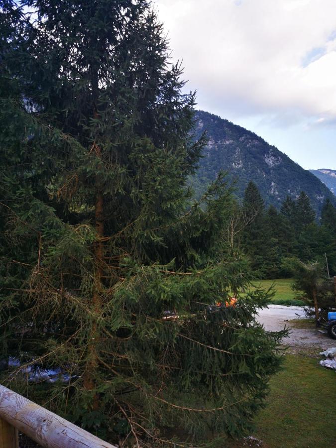U Konc Villa Stahovica Buitenkant foto